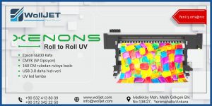 XENONS Roll to Roll UV